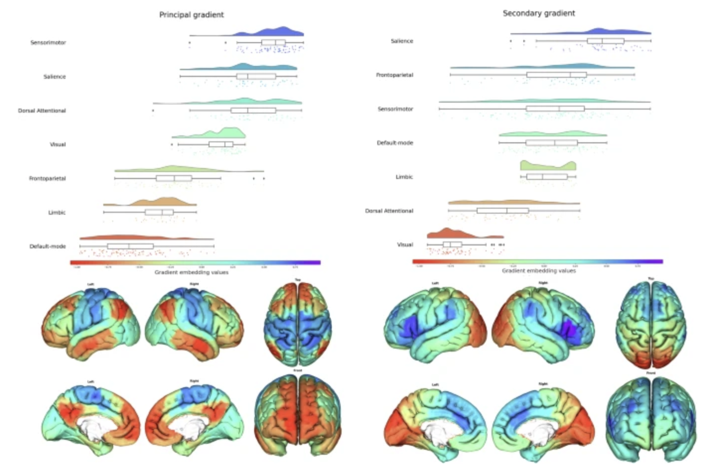 Psychopathological, Clinical, and Demographic Measures